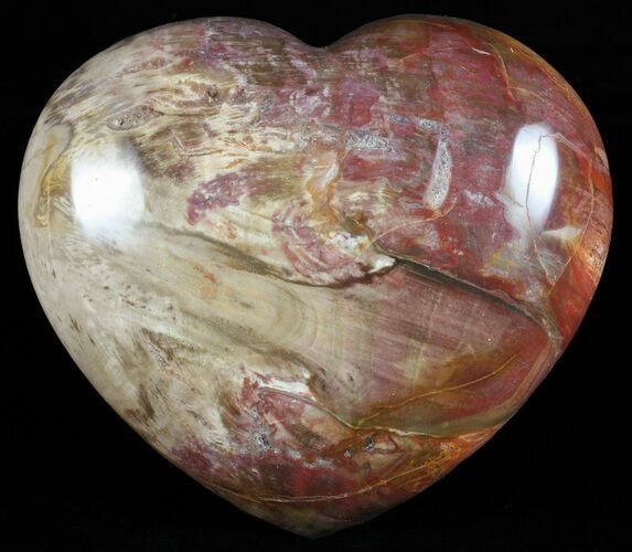 Colorful, Polished Petrified Wood Heart - Triassic #58527